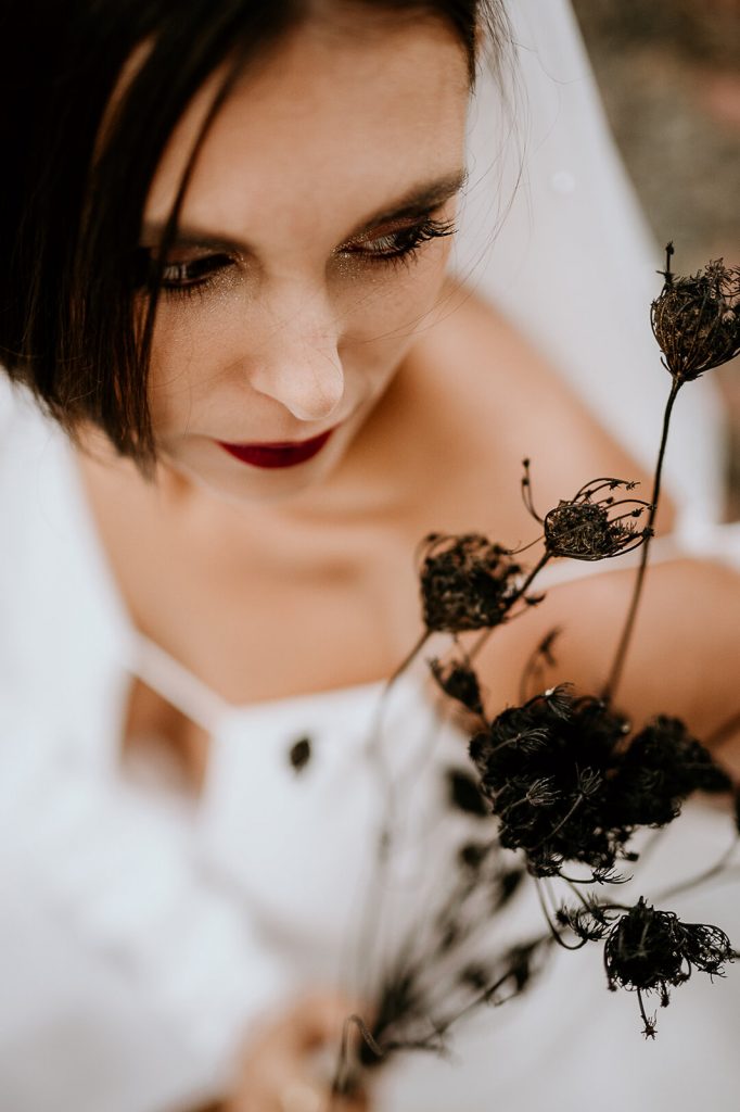 Maison Alchimie Site